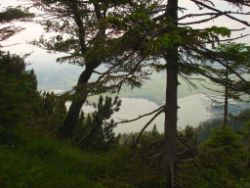 2013-07-07_Kotalm-Jochberg (208)-b.JPG